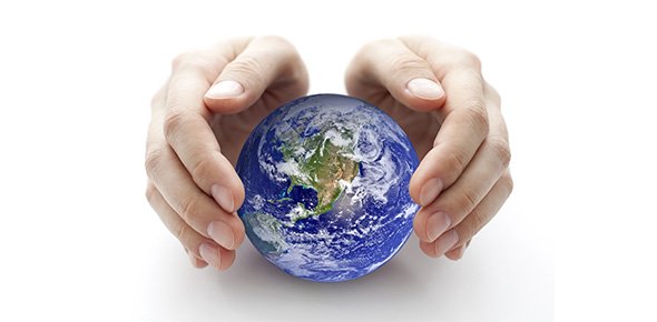 Conservation Quizzes, Conservation Trivia, Conservation Questions