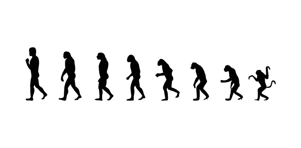 Evolution Quizzes, Evolution Trivia, Evolution Questions