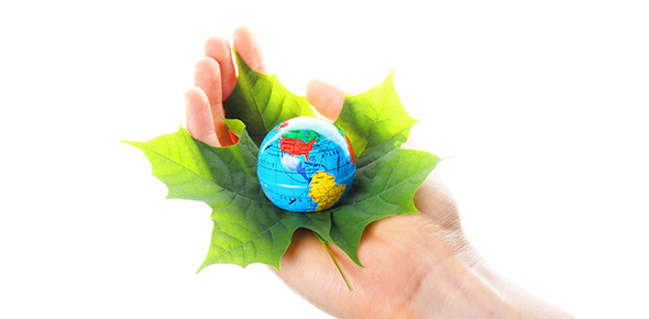 Green Living Quizzes, Green living Trivia, Green living Questions