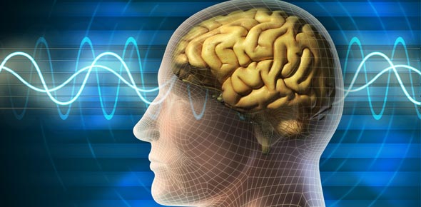 EEG Quizzes, Eeg Trivia, Eeg Questions