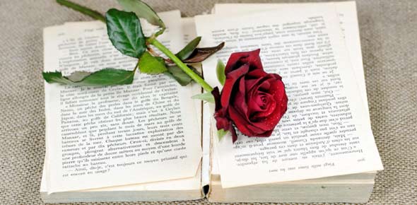 Love Story Quizzes, Love story Trivia, Love story Questions