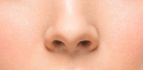 Nose Quizzes, Nose Trivia, Nose Questions