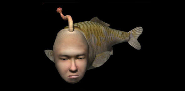 Seaman Quizzes, Seaman Trivia, Seaman Questions