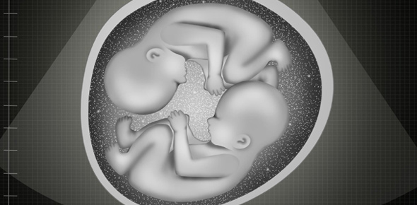 Embryo Quizzes, Embryo Trivia, Embryo Questions