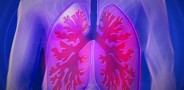 Lung Disease Quizzes, Lung disease Trivia, Lung disease Questions