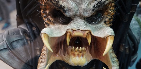 Predator Quizzes, Predator Trivia, Predator Questions