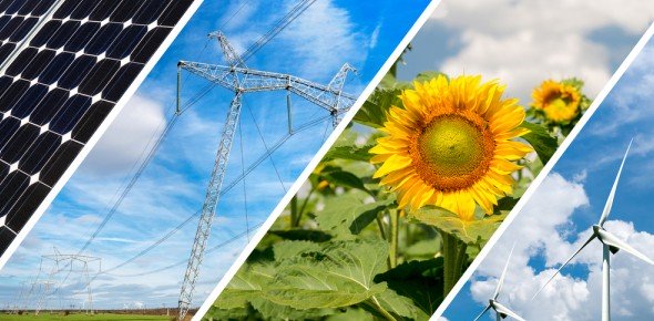 Natural Resource Quizzes, Natural resource Trivia, Natural resource Questions