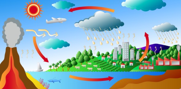 Carbon Cycle Quizzes, Carbon cycle Trivia, Carbon cycle Questions