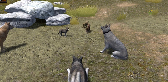 Wolfquest Quizzes, Wolfquest Trivia, Wolfquest Questions